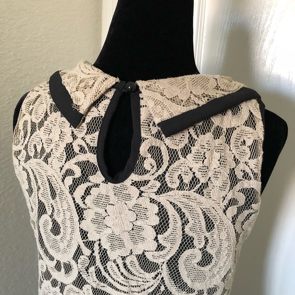 Lace Collared Top - Picture 4 of 5